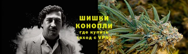 мдпв Бронницы
