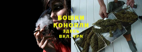 мдпв Бронницы