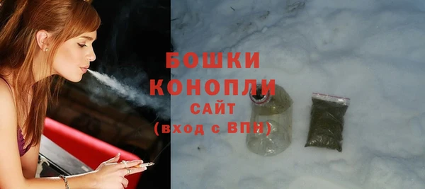 мдпв Бронницы