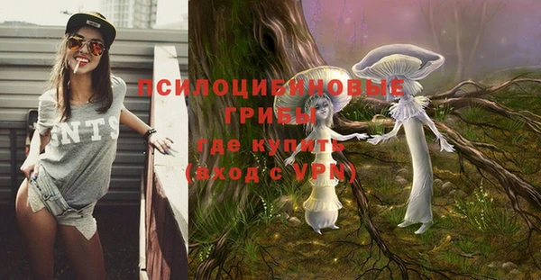 мдпв Бронницы