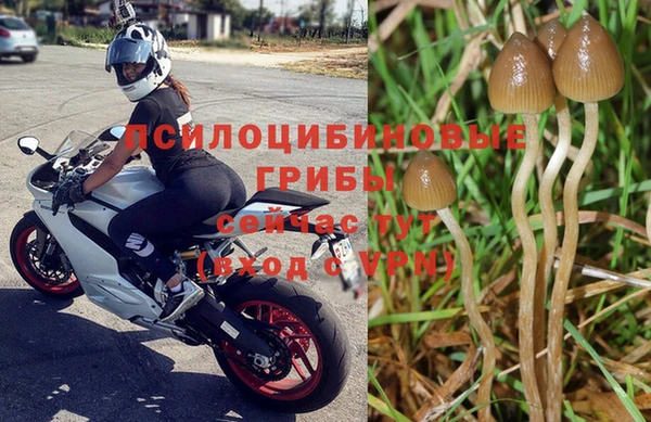 метадон Бородино