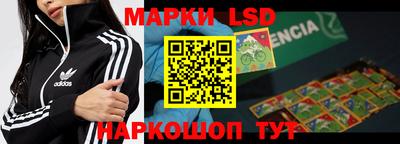 jwh Бийск
