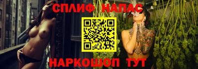 jwh Бийск