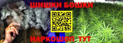 jwh Бийск