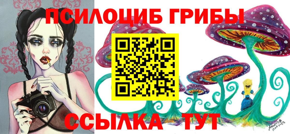 Галлюциногенные грибы GOLDEN TEACHER Бузулук