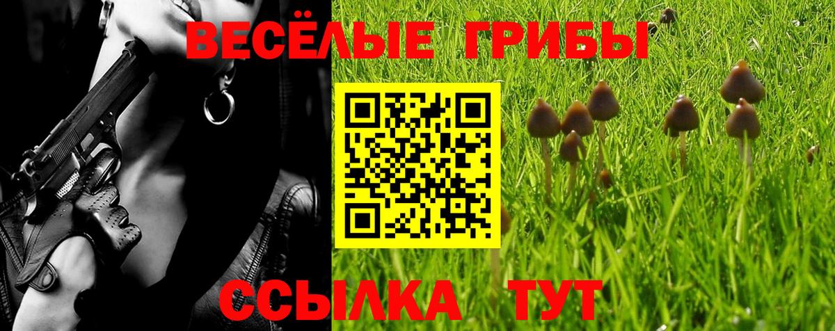где найти   Галлюциногенные грибы мухоморы  Вход с VPN  Бузулук 